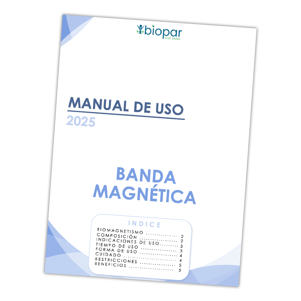 BANDA MAGNÉTICA