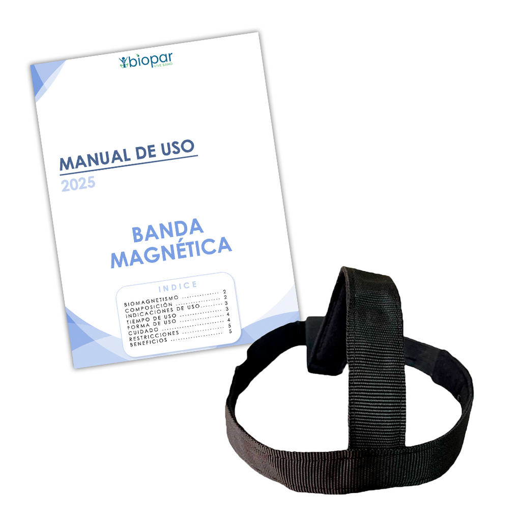 BANDA MAGNÉTICA